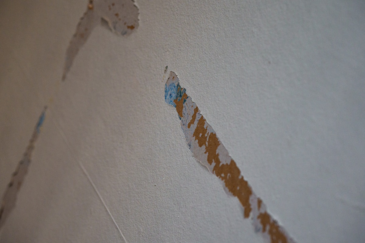 Flood Cleanup service in Bremerton, WA